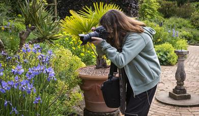 Photo opportunity at Hidcote