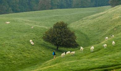 Cotswold Walks